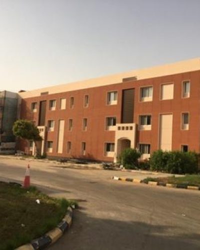 Portfolio_Delivered Project_4s